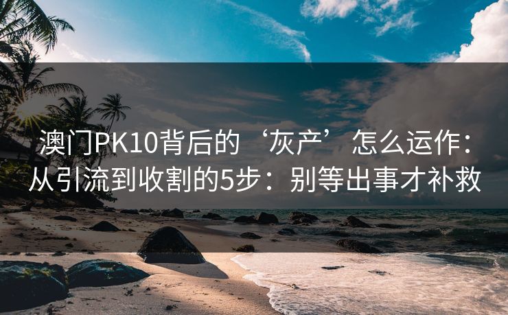 澳门PK10背后的‘灰产’怎么运作：从引流到收割的5步：别等出事才补救