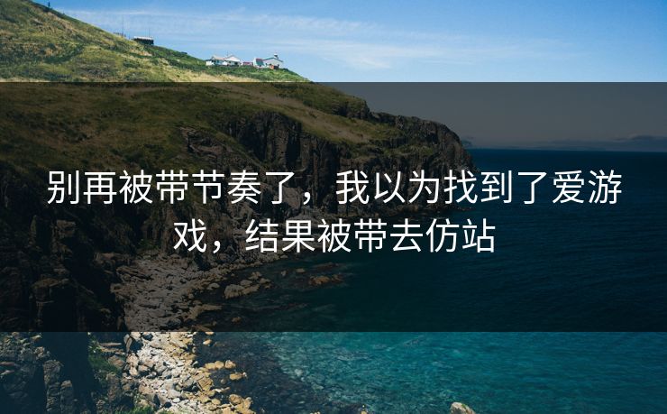别再被带节奏了，我以为找到了爱游戏，结果被带去仿站