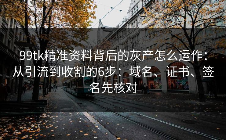 99tk精准资料背后的灰产怎么运作：从引流到收割的6步：域名、证书、签名先核对